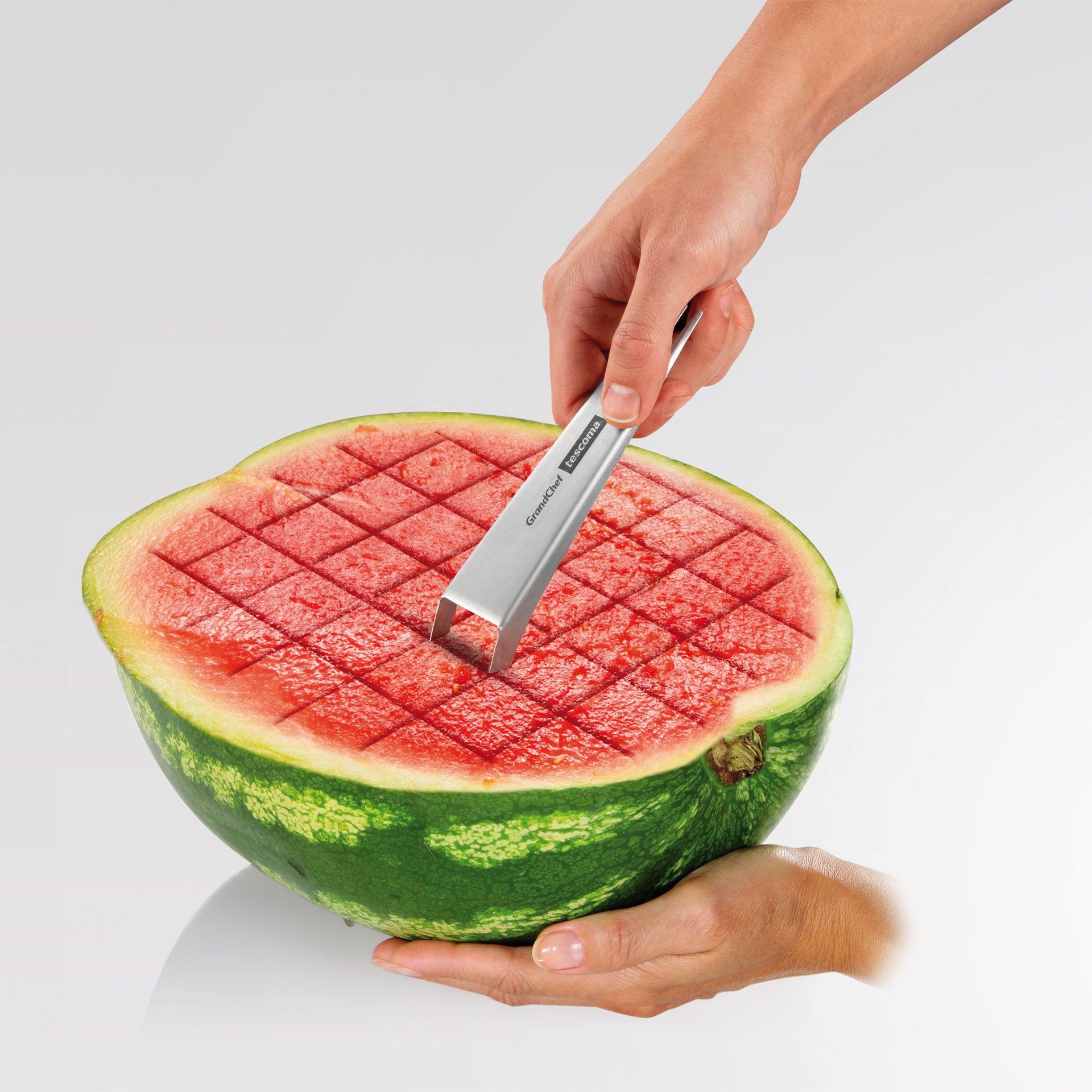 428636_use1.jpg