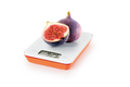 634510_back2.png