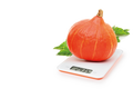 634512_back2.png