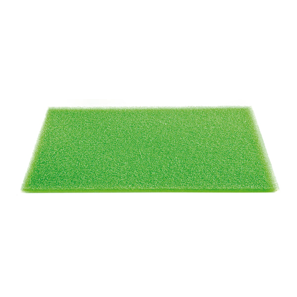 897005.jpg