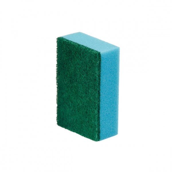 900648.jpg